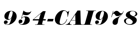 954-CAI978