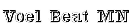 Voel Beat MN