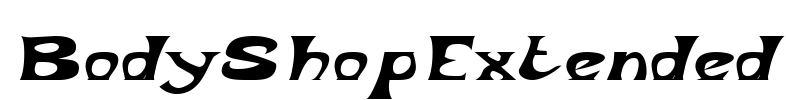 BodyShopExtended