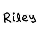 Riley Font Image