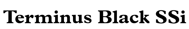 Terminus Black SSi Font Image