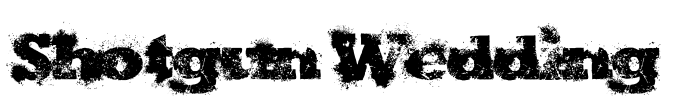 Shotgun Wedding Font Image