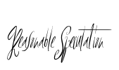 ReasonableSpeculation Font Image