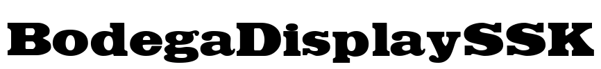 BodegaDisplaySSK