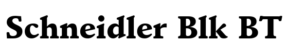 Schneidler Blk BT Font Image