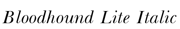 Bloodhound Lite Italic
