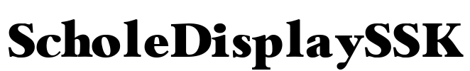 ScholeDisplaySSK
