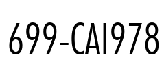 699-CAI978