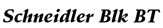 Schneidler Blk BT Font Image