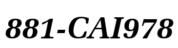 881-CAI978