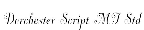 Dorchester Script MT Std Font Image