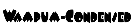 Wampum-Condensed
