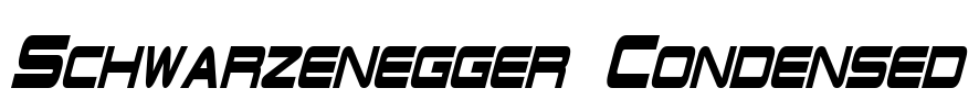 Schwarzenegger Condensed Font Image