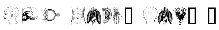 the body, vol. I