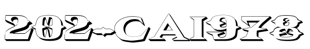 202-CAI978 Font Image
