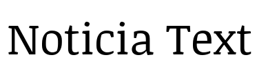 Noticia Text