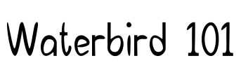 Waterbird 101 Font Image