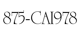 875-CAI978