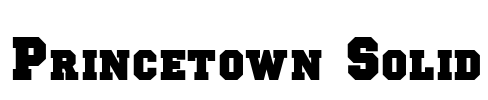 Princetown Solid Font Image