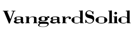 VangardSolid