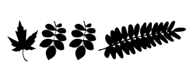 Leef Font Image