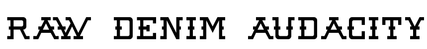 Raw Denim Audacity Font Image