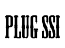 Plug SSi