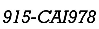 915-CAI978