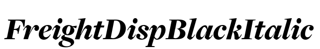 FreightDispBlackItalic
