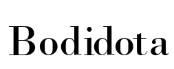 Bodidota
