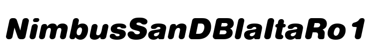 NimbusSanDBlaItaRo1 Font Image