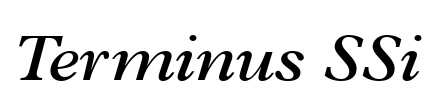 Terminus SSi Font Image