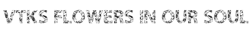 VTKS FLOWERS IN OUR SOUL Font Image