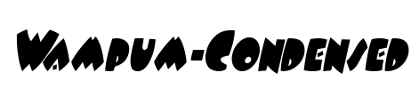 Wampum-Condensed