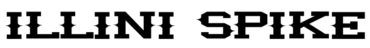illini spike