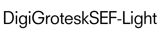 DigiGroteskSEF-Light Font Image
