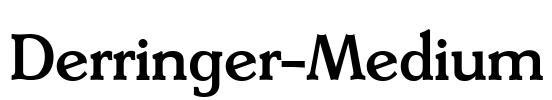Derringer-Medium