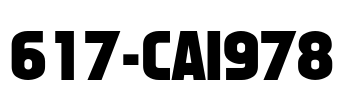 617-CAI978