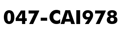 047-CAI978 Font Image