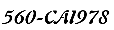 560-CAI978
