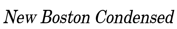 New Boston Condensed Font Image
