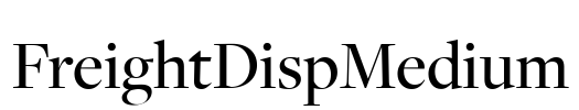 FreightDispMedium