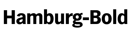 Hamburg-Bold Font Image