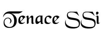 Tenace SSi Font Image