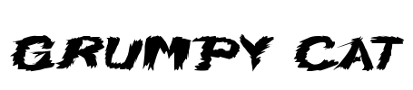 Grumpy Cat