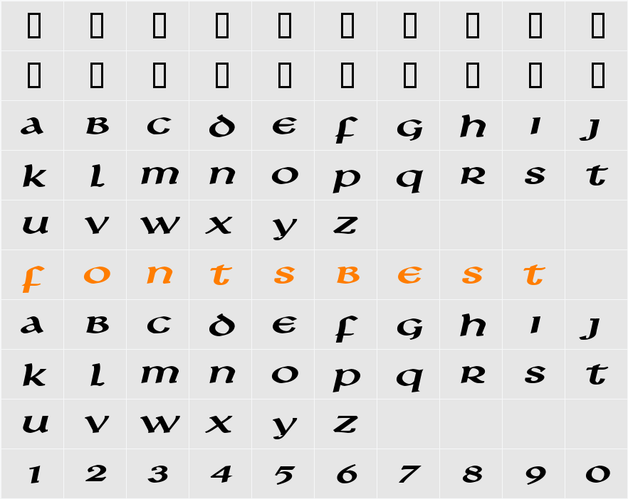 Leo Extended Character Map