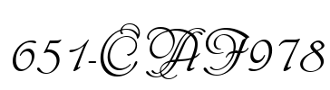 651-CAI978 Font Image