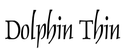 Dolphin Thin Font Image