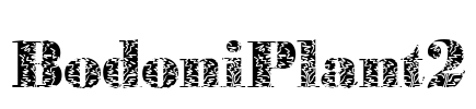 BodoniPlant2