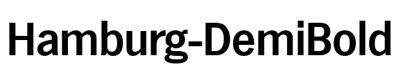 Hamburg-DemiBold Font Image